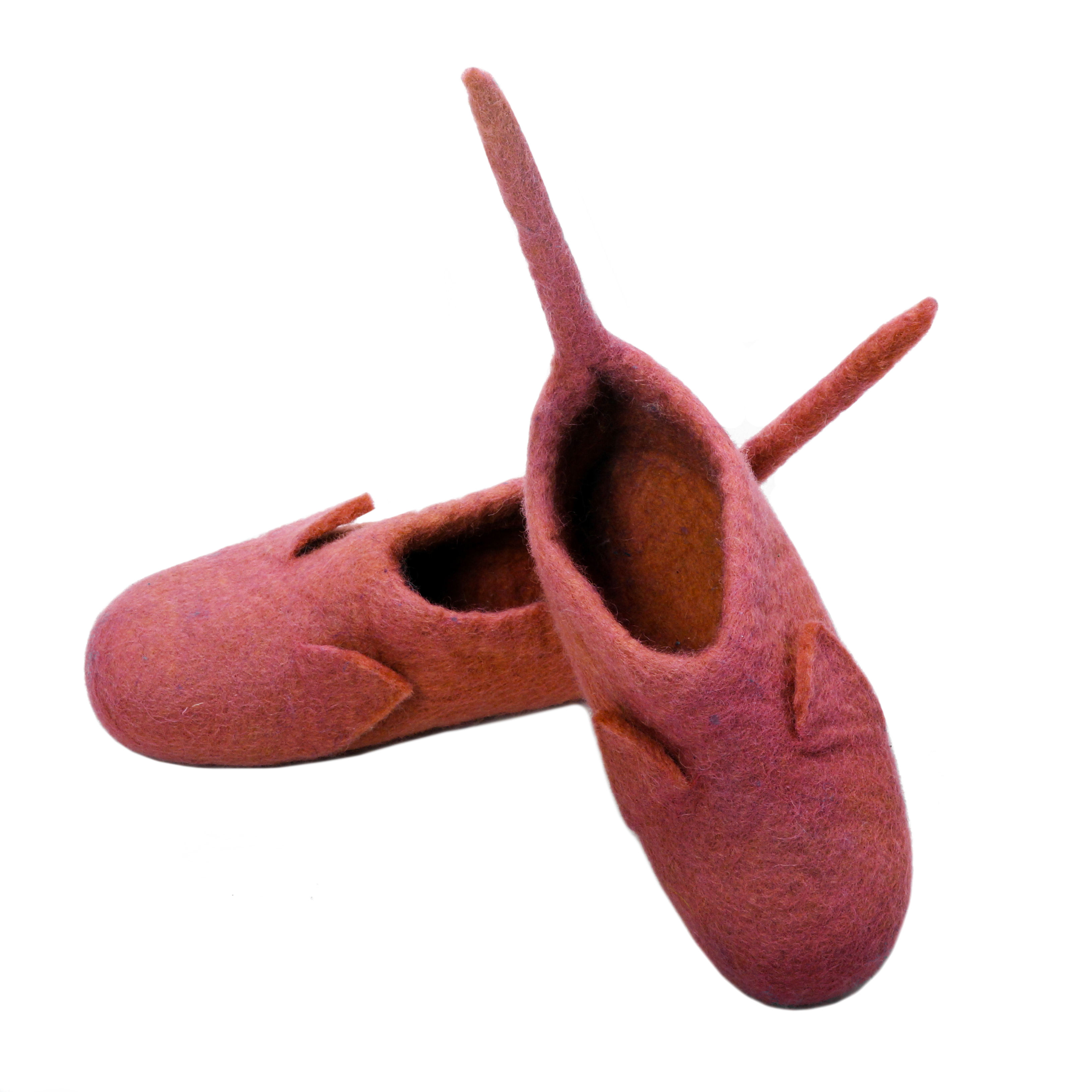 Jester Felt Shoes